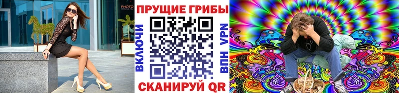 Псилоцибиновые грибы прущие грибы  Камышлов 